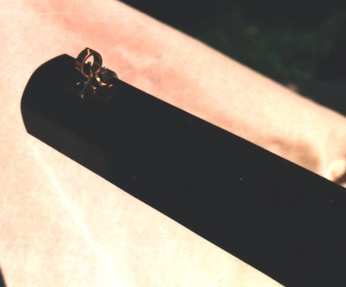 Buffalo Roller-Beech's Front Sight