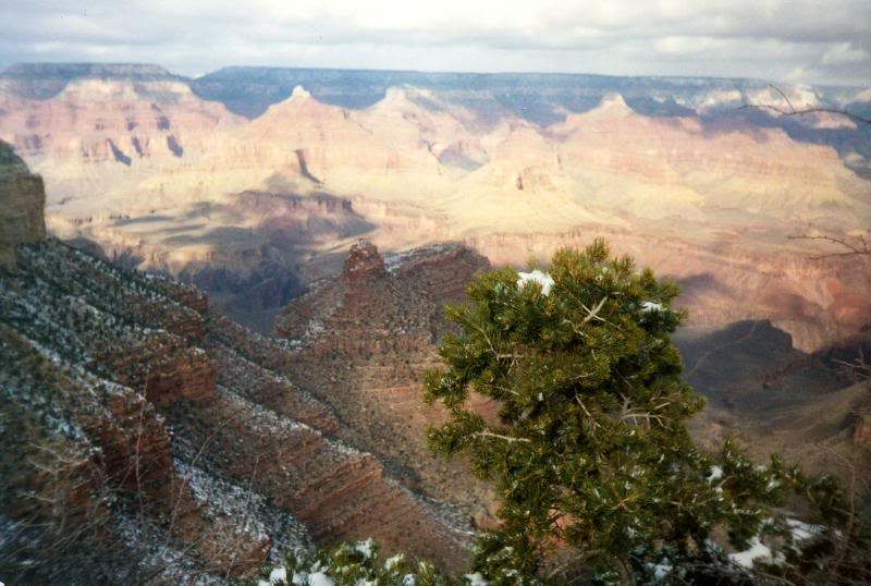 A Grand View, The Grand Canyon, Arizona