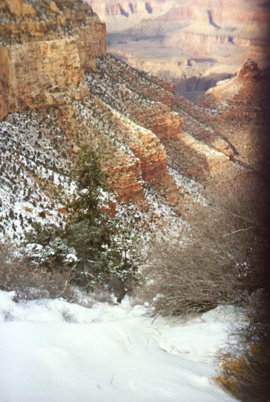 Toes of the Mountain, Grand Canyon, Arizona