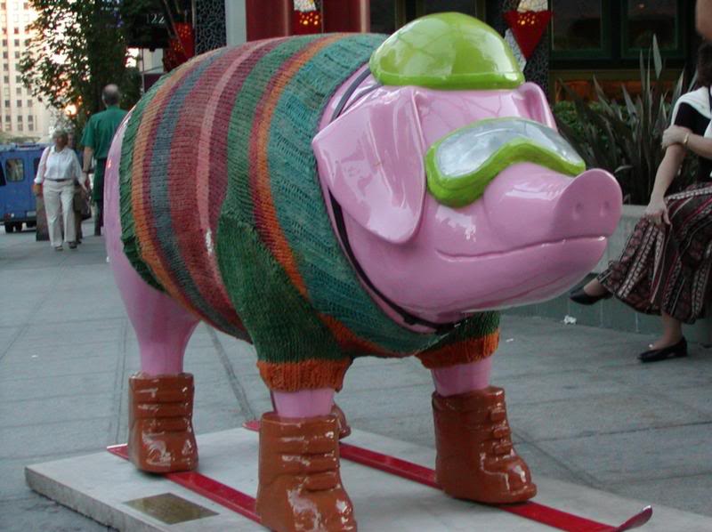 Ski Pig