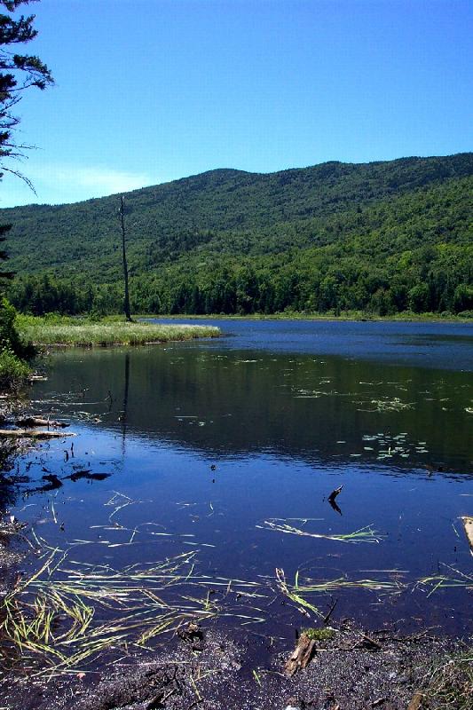Middle Pond looking west to Carr Ridge (24 July 05) 1 o...