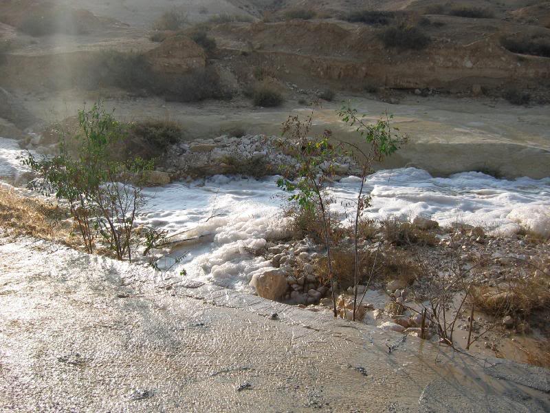 don't want my car in there!