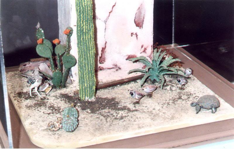 SW Wall Fragment Landscaping