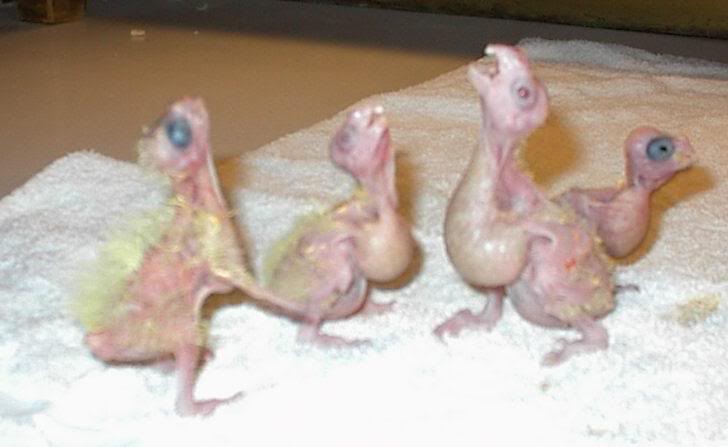 The guy in the back is peeking at me