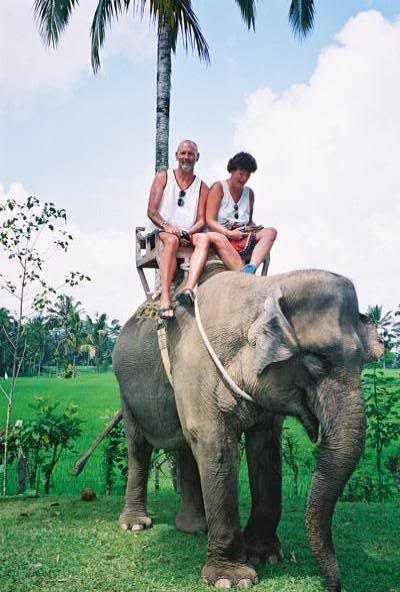 Elephant Ride 2