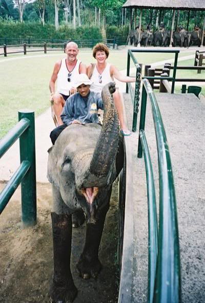 Elephant Ride 6