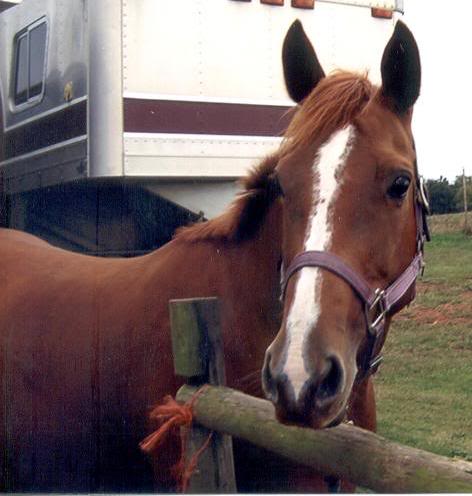 All grown up! Notice the difference in the way her bla...