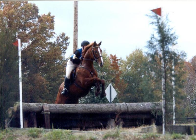 First training level HT, at TTC. Nov 02. 1st part of ...