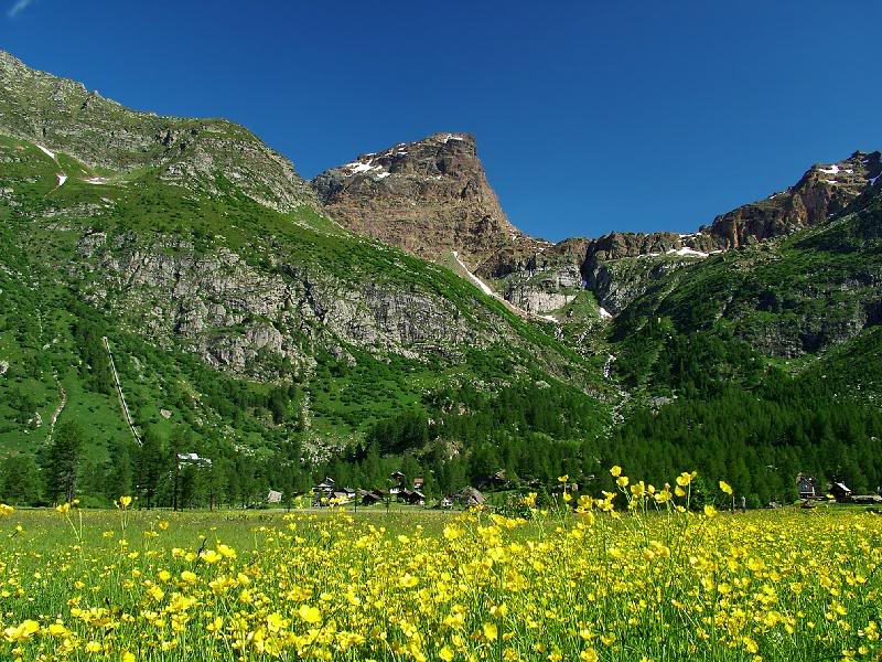 005 - the arrive in Devero valley