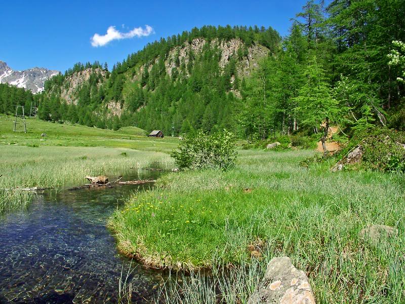 006 - walking in a green valley