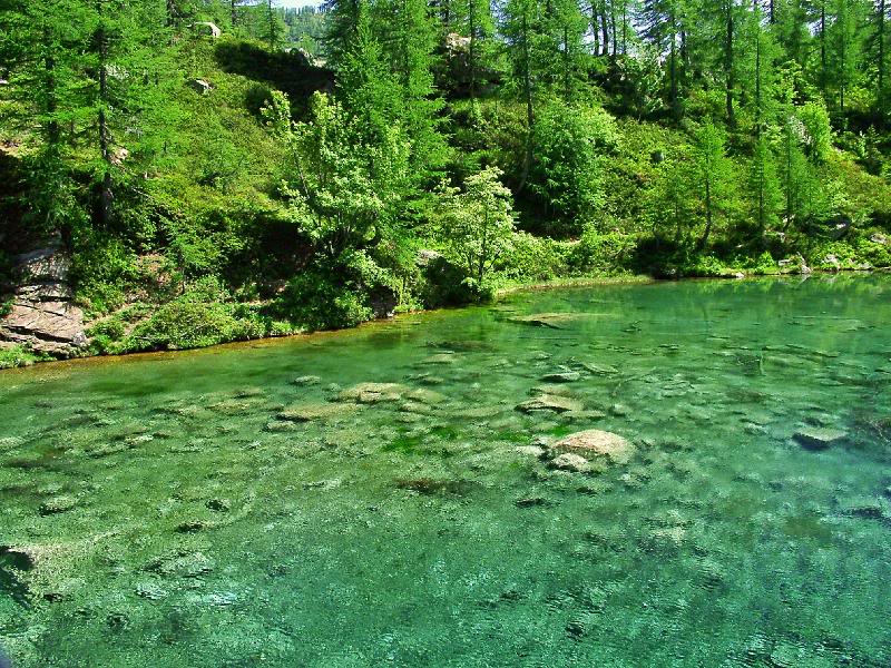 007 - Laudato si', mi Signore, per sor'Acqua