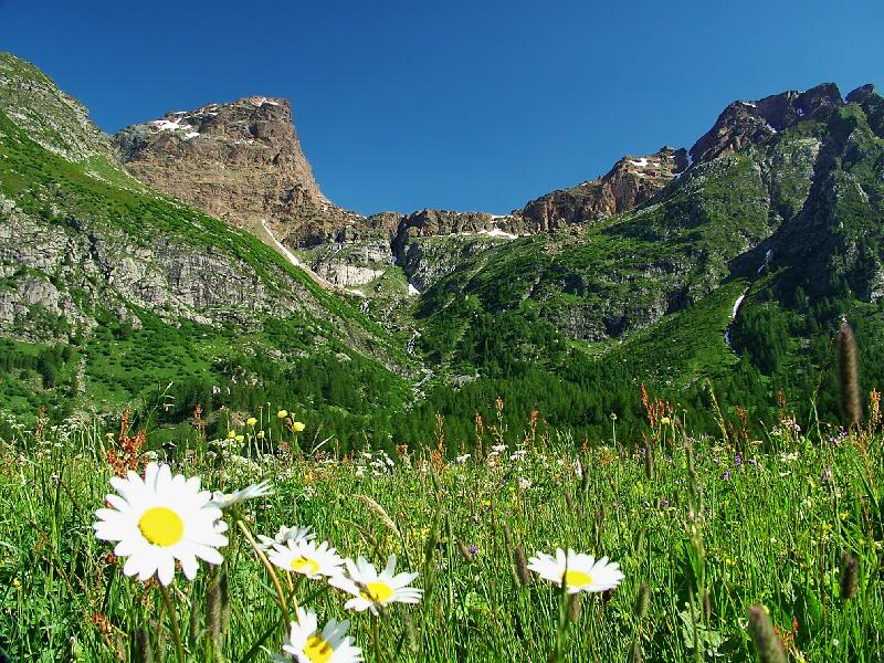 008 - stretch in a perfumed world