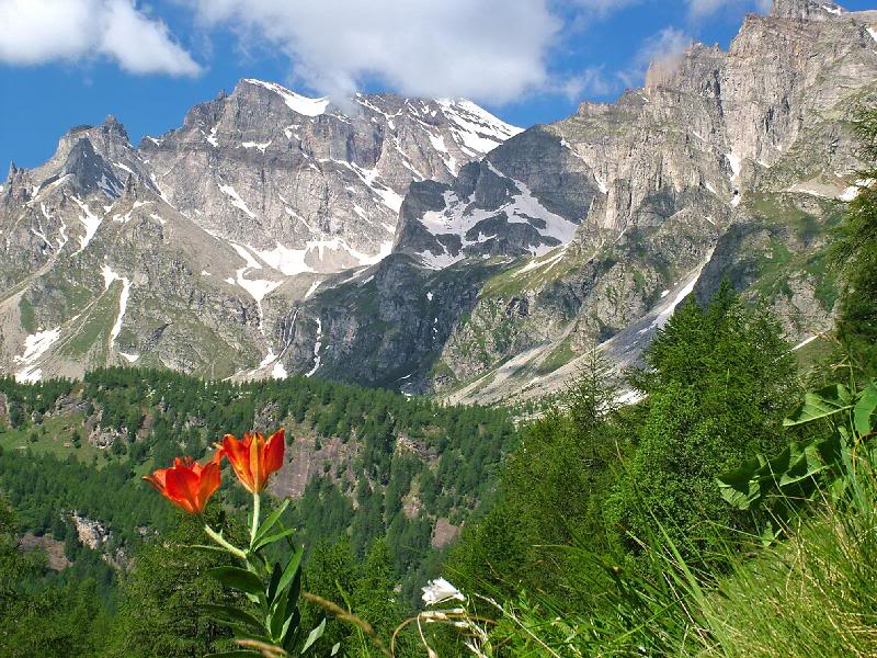 012 - watching in silence