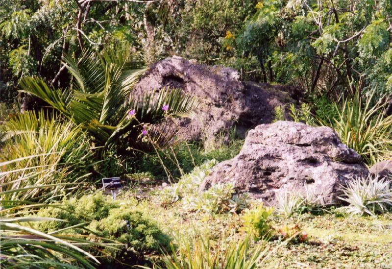 Golden Gate Park, San Francisco, CA File1390