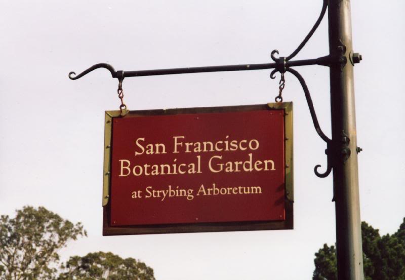Strybing Arboretum, Golden Gate Park, San Francisco, CA...