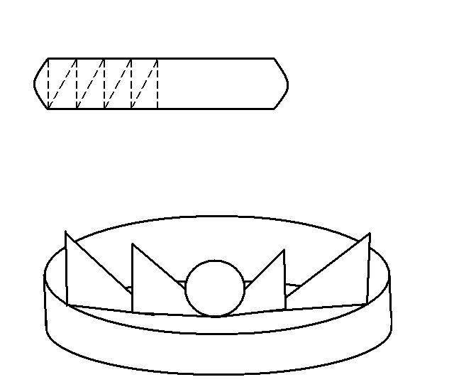 Pita-hrizantema _vid_1