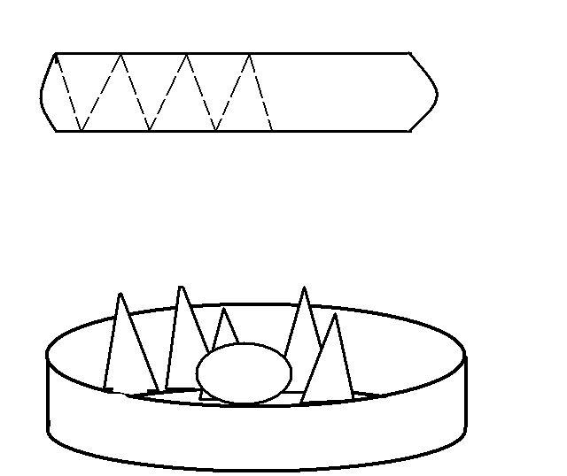 Pita-hrizantema _vid_2