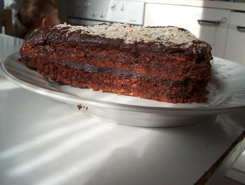 Shokoladova torta - parche