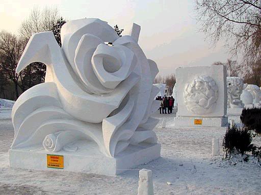 snow sculpted rose