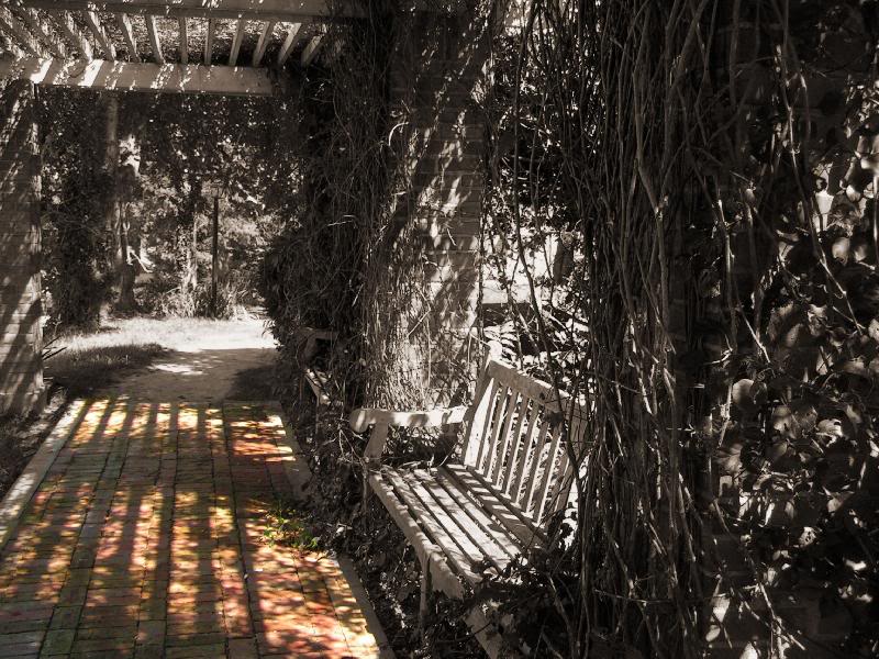 where brooks gave me my ring