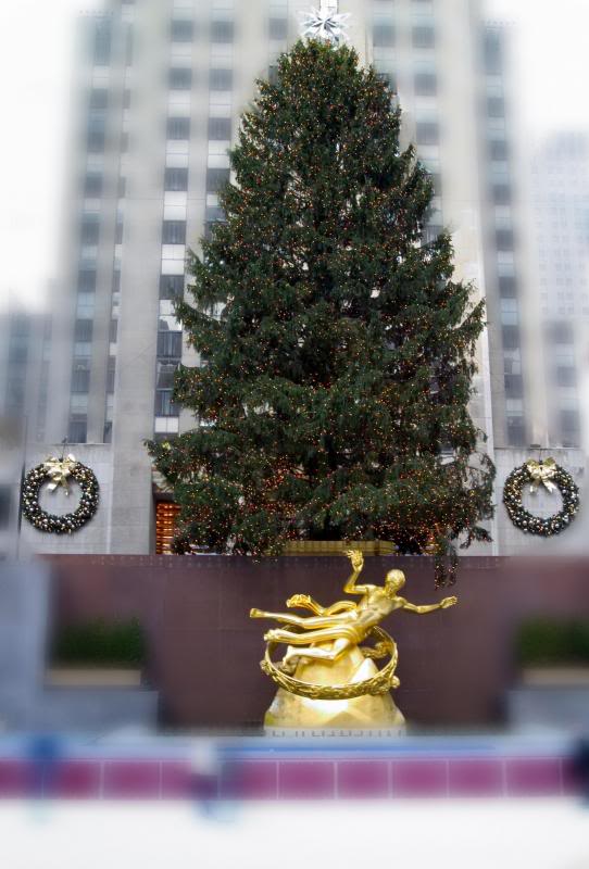Rockefeller tree vignette blur
