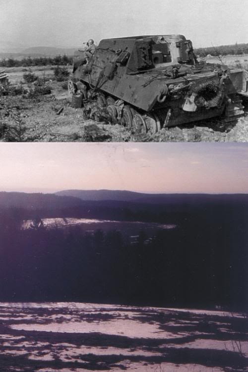 sJdPzAbt.512_Fw Arnold