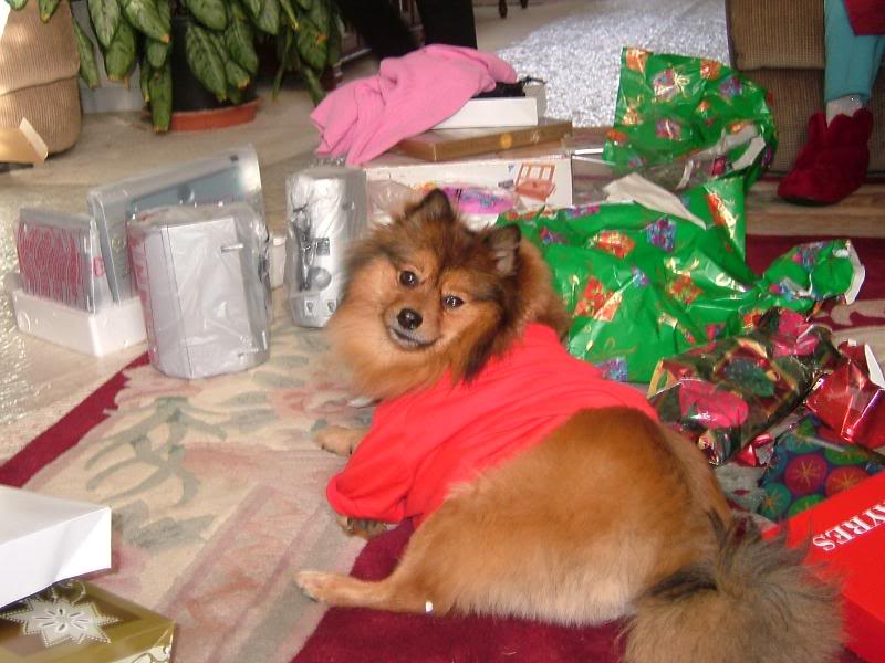 Mystique Xmas Morning