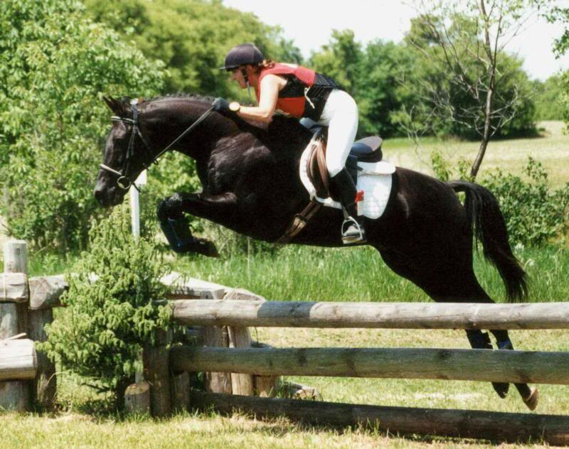 Yellow Creek over corner cross country jump