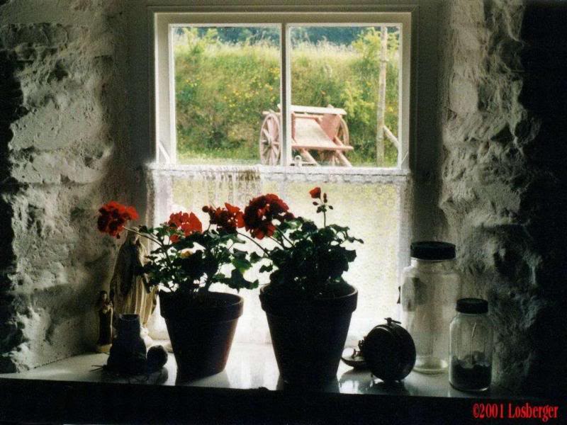 A view from an Irish Cottage Window