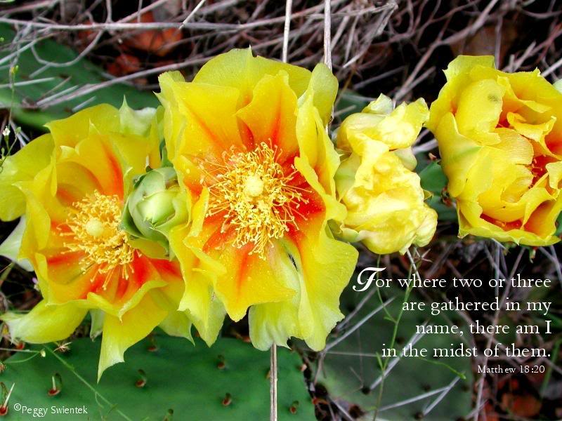 For Where Two or Three are Gathered...