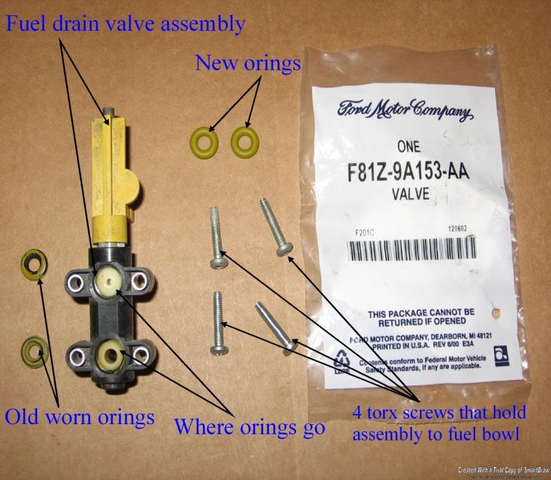 Fuel drain valve assembly