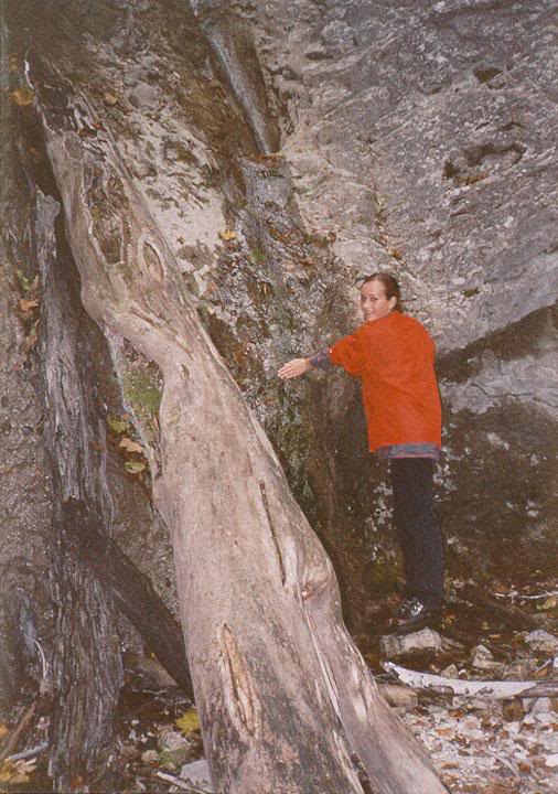 Dead end of Javornik's canyon