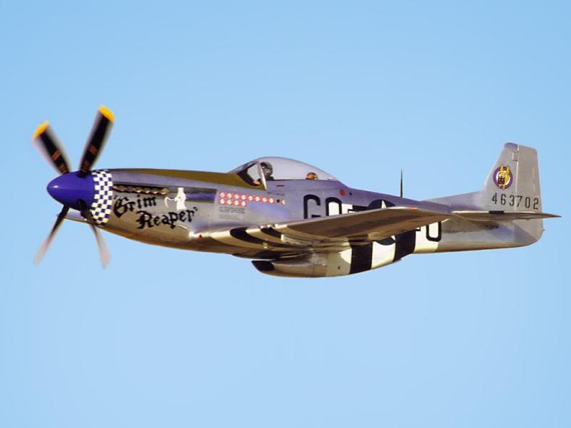 Jim Martinelli's P-51 'Grim Reaper'