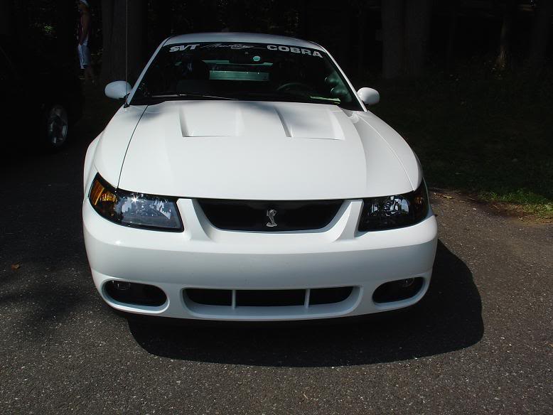 Michelle's 03 Cobra