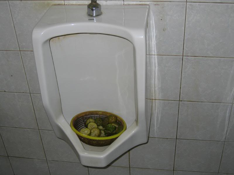 Interesting Urinal- fresh lime wedges anyone?