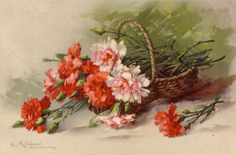 Klein carnations in a basket
