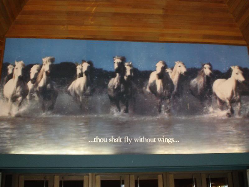 I thought this was a pretty cool ad, it was right about...