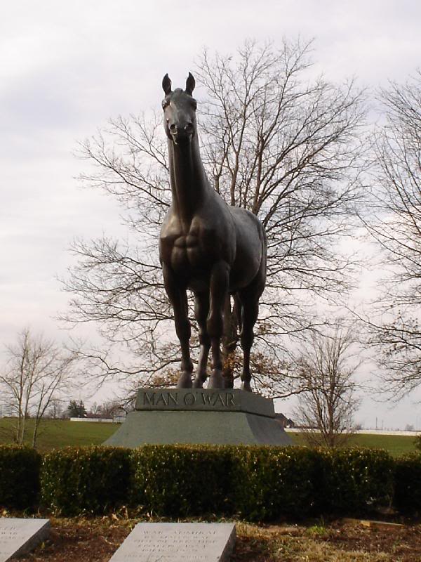 My favorite racehorse of all time! Man O' War !!