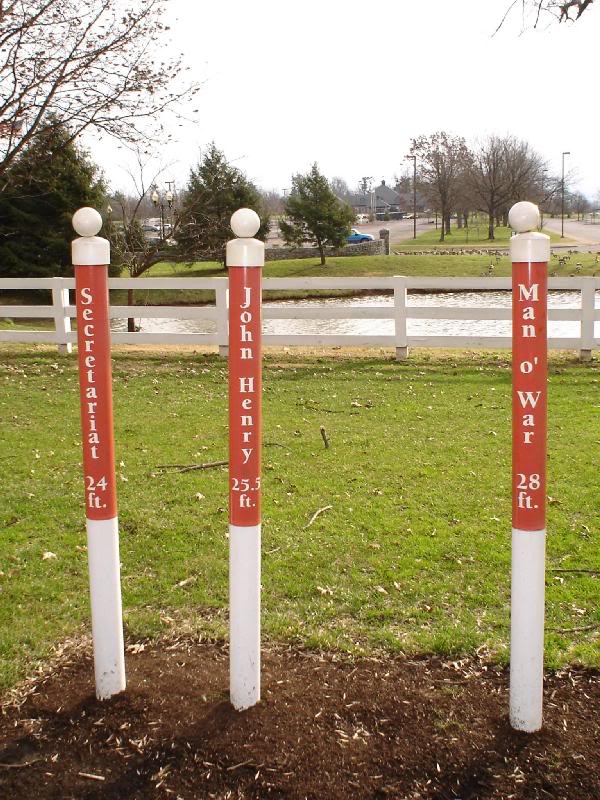 This shows how Man O'War's stride compared to other fam...