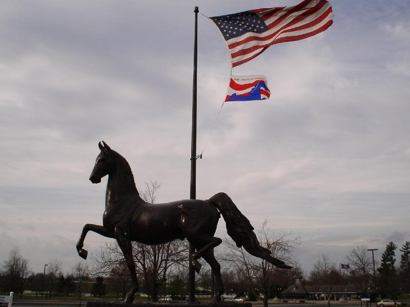 it was verrrrry windy in KY