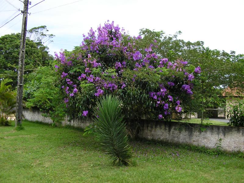 Garden in Barra do Sai Beach - Itapoa, Brazil