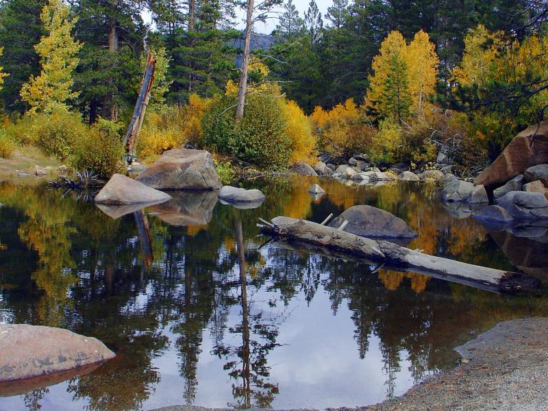 A Hidden Pond in Hope Valley, California