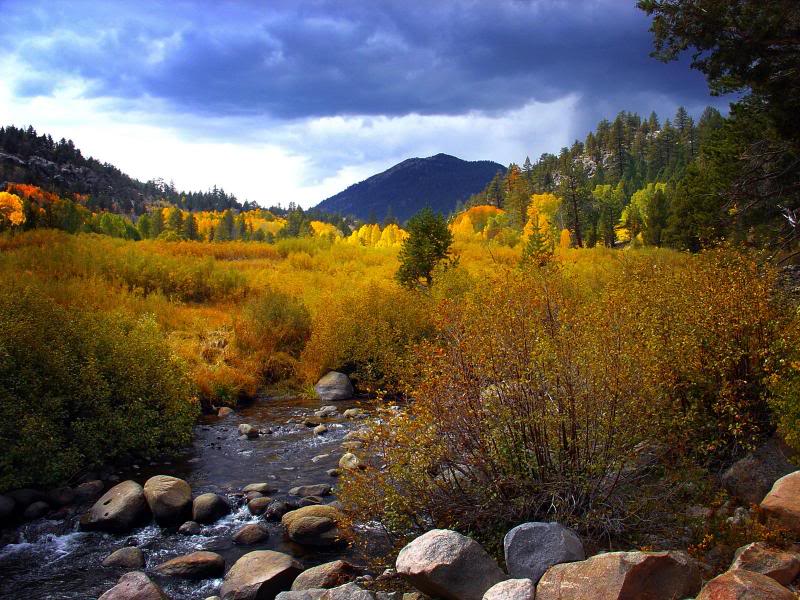 Fall, Carson River, Hope Valley, California