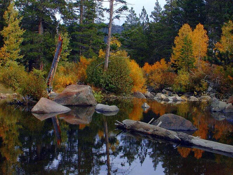 Fall Colors on a Hidden Pond in Hope Valley, California