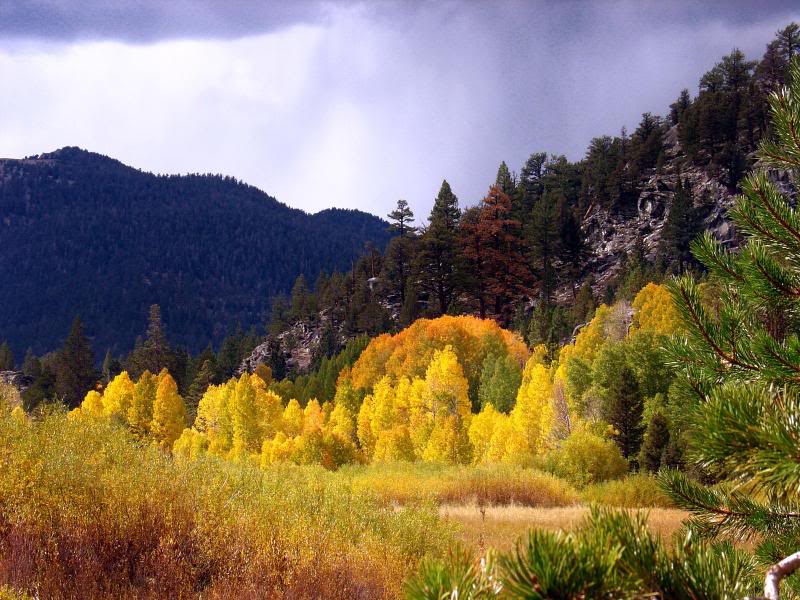 Fall in Hope Valley, California