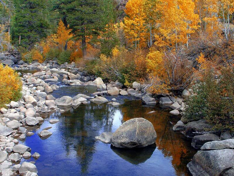 Fall on Carson River, Hope Valley, California