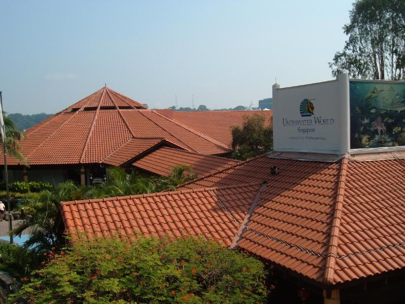 Underwater World Rooftop