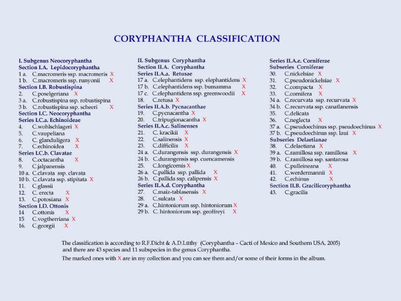 Coryphantha Classification