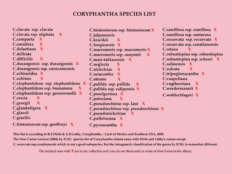 Coryphantha Species List