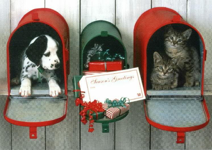 Christmas Special Delivery